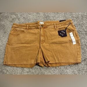 Ava & Viv Denim Cutoff Shorts